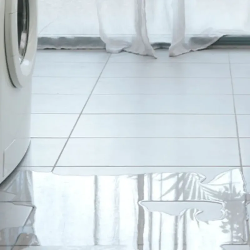 Appliance Leak Cleanup in Quincy, FL