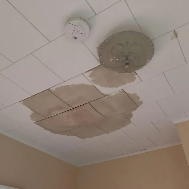 Ceiling Water Damage Repair in Quincy, FL