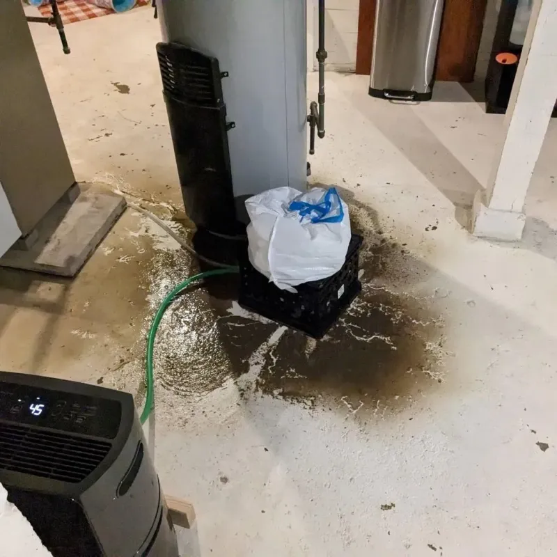 Sewage Backup Cleanup Service in Quincy, FL